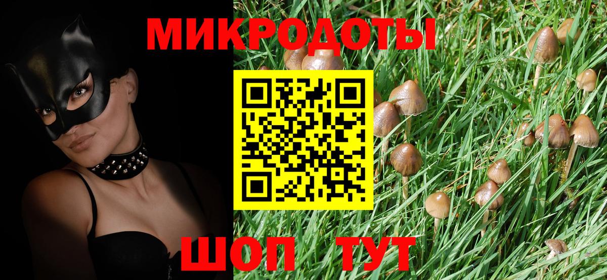 продажа наркотиков  Вход с VPN  Светлоград  Псилоцибиновые грибы прущие грибы 