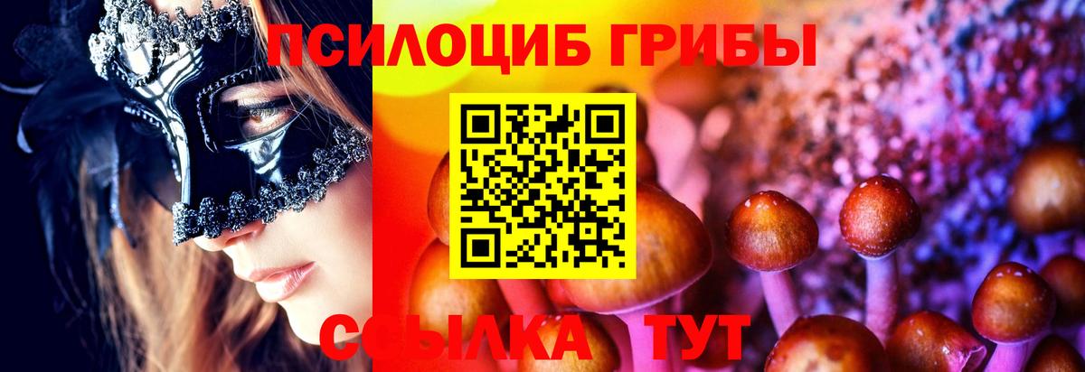 Галлюциногенные грибы мухоморы Светлоград